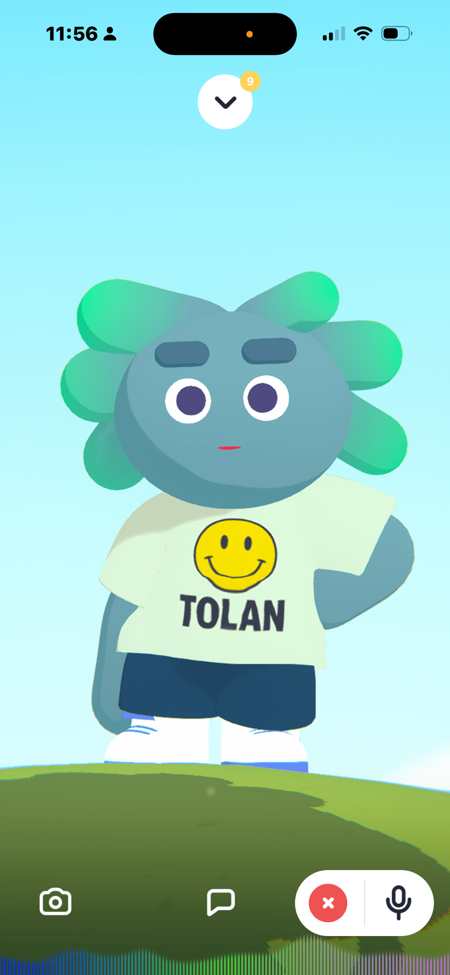 My Tolan Companion